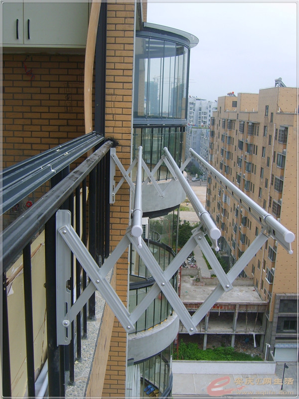 S8301981.jpg