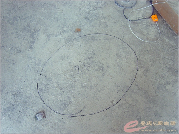S8302019.jpg