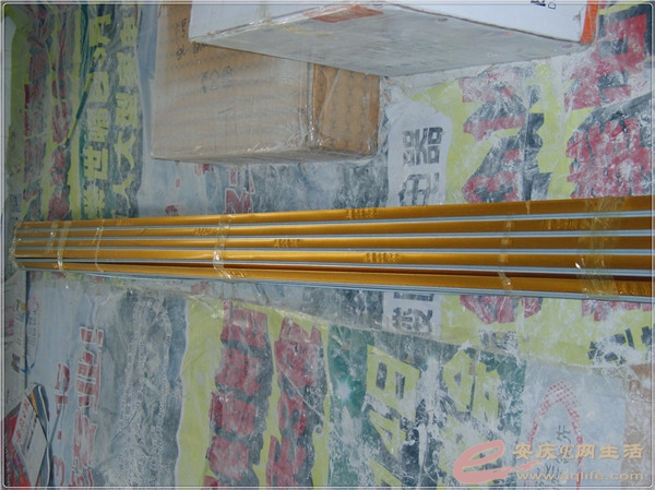 S8302038.jpg