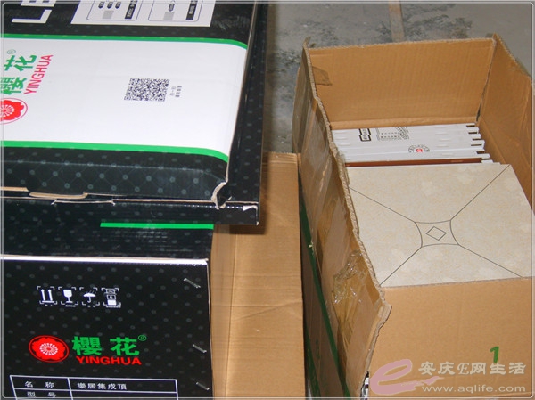 S8302036.jpg