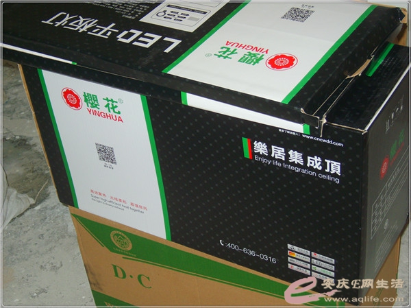 S8302035.jpg