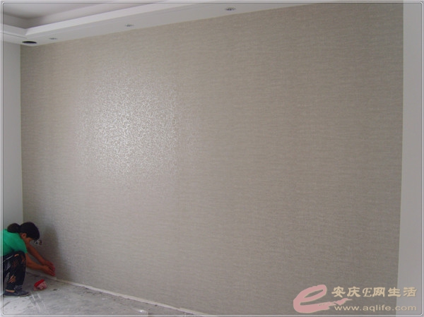S8302071.jpg