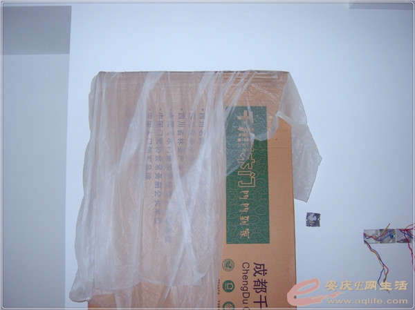 S8302108.jpg