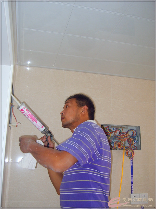 S8302125.jpg