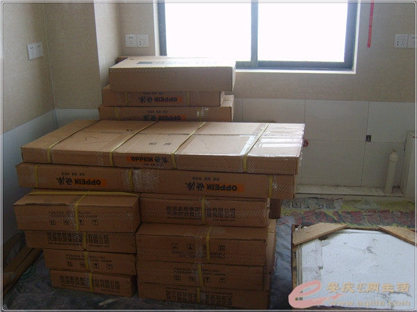 S8302119.jpg