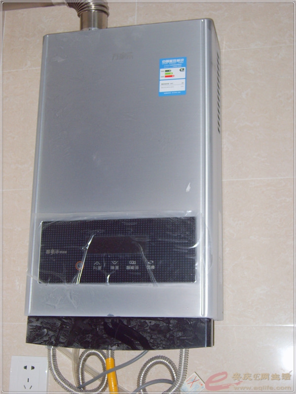 S8302172.jpg