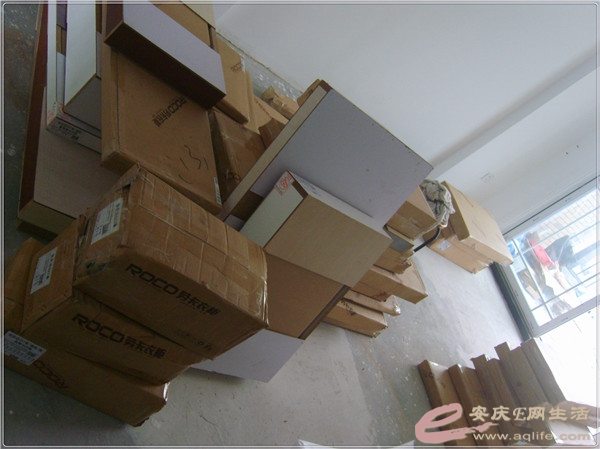 S8302213.jpg