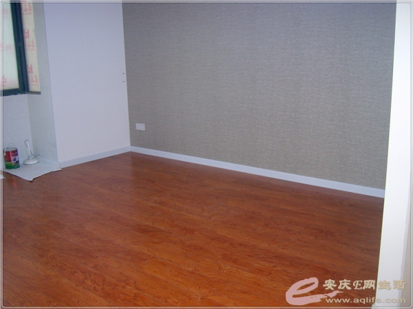 S8302270.jpg