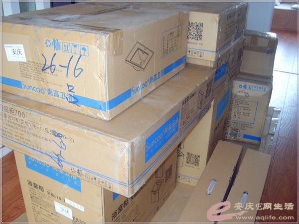 S8302275_.jpg
