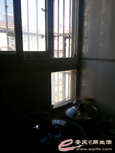 20141011_135921.jpg