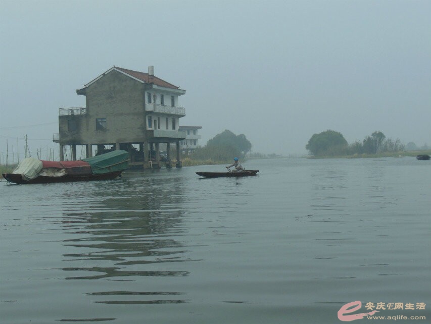 115430pbg74i0amniwybmu.jpg