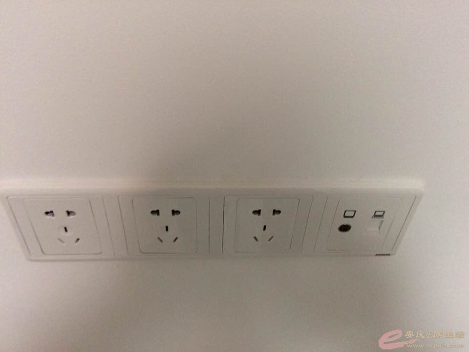 145.jpg