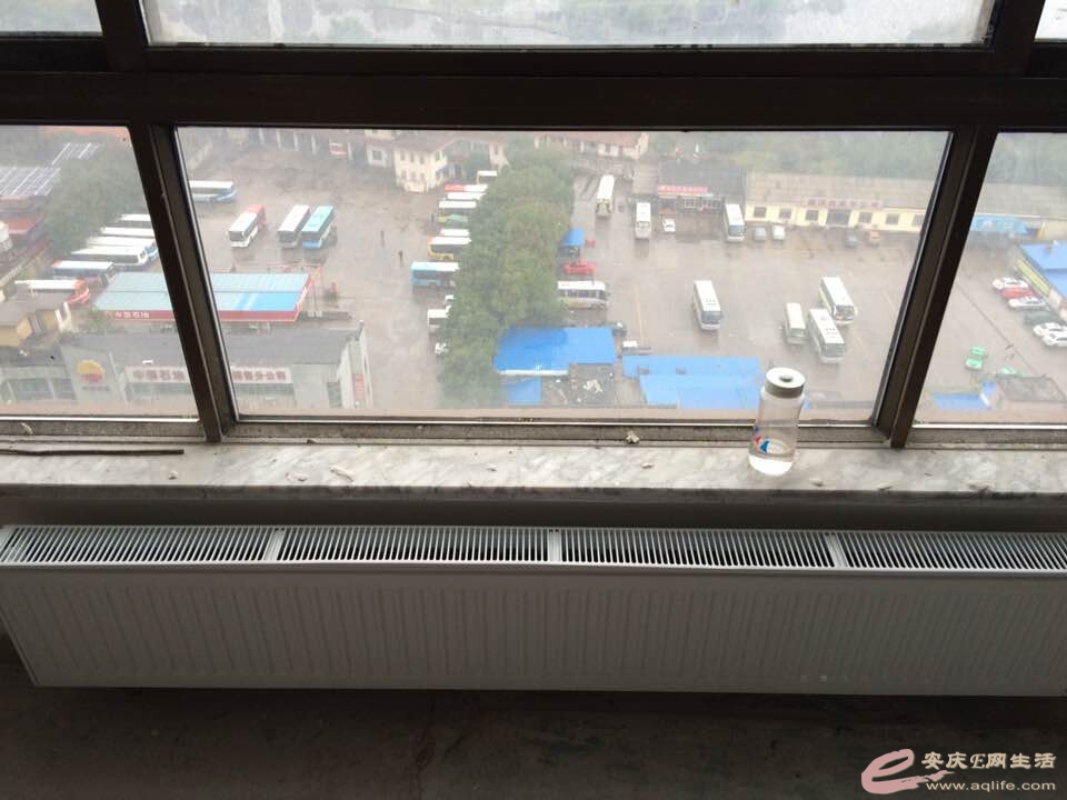 161.jpg