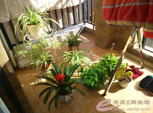 IMG_20141214_132554_̨.jpg