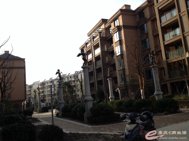 IMG_0533_meitu_4.jpg