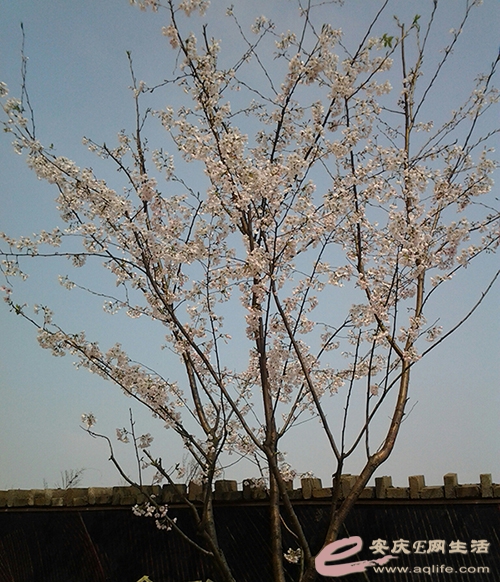 20150321_103026-1.jpg