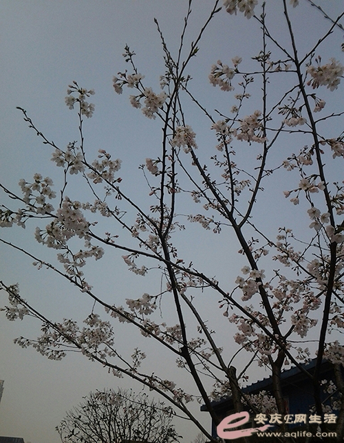 20150321_103113-1.jpg