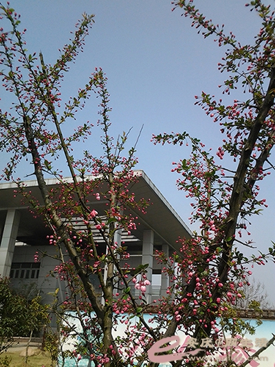 20150321_104201.jpg