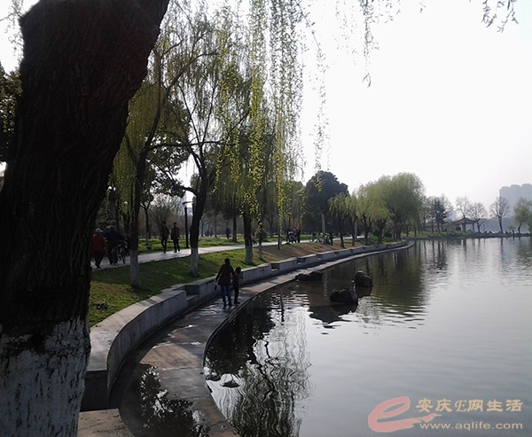 20150321_155021.jpg