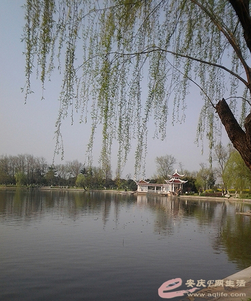 20150321_155107-1.jpg