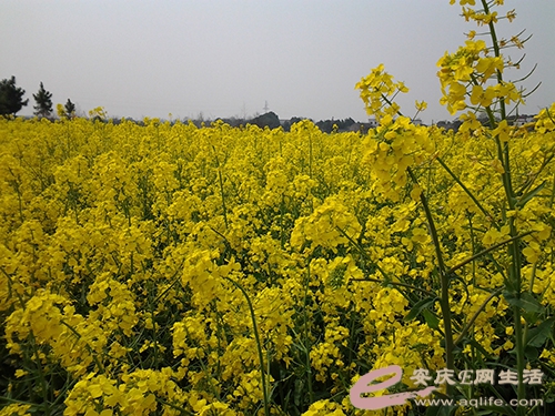 20150328_110259.jpg