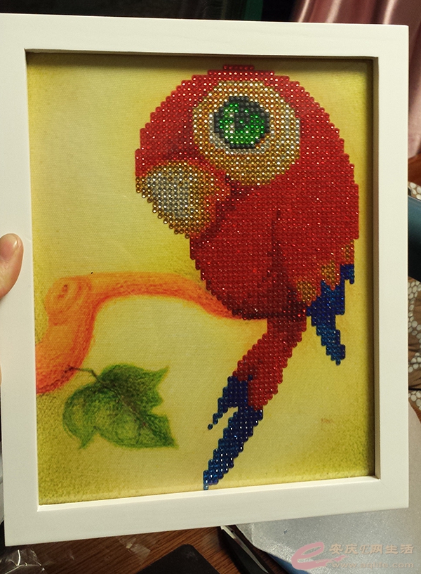 20150331_210921.jpg