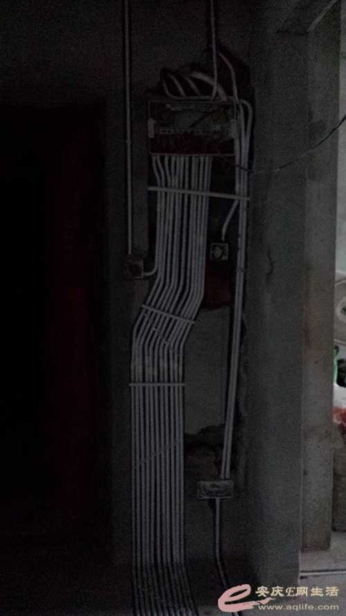 20150407_133245.jpg