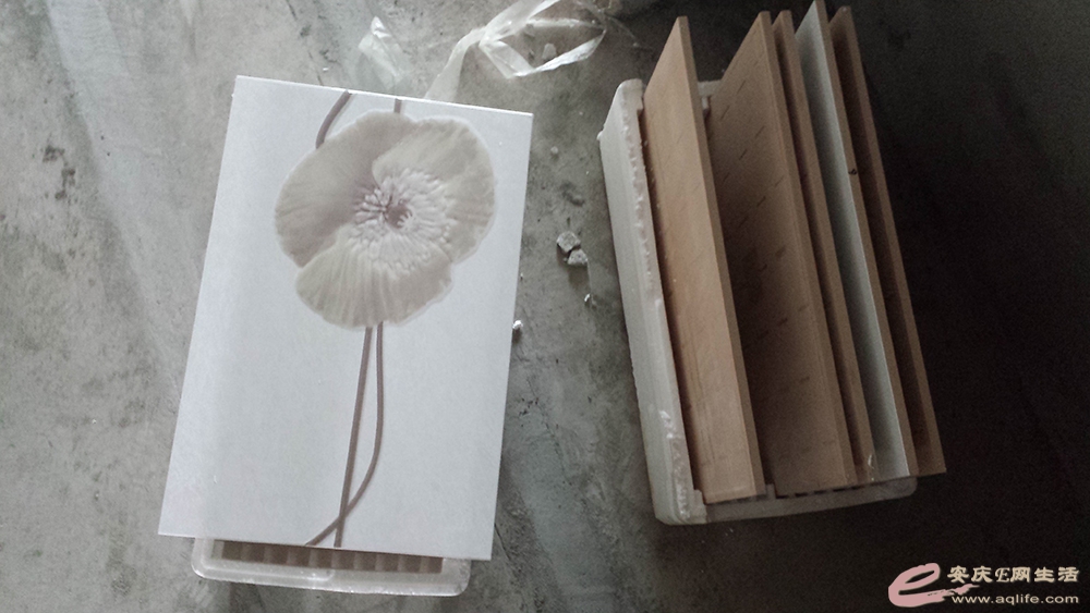 20150413_150521.jpg