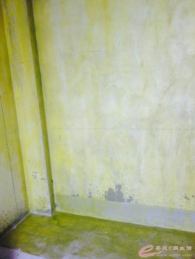 QQͼƬ20150417122840.jpg