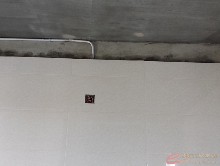 20150418_121408.jpg