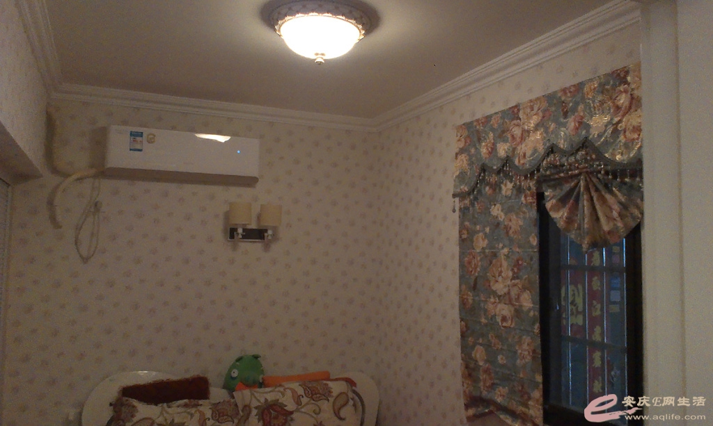 IMAG0318.jpg