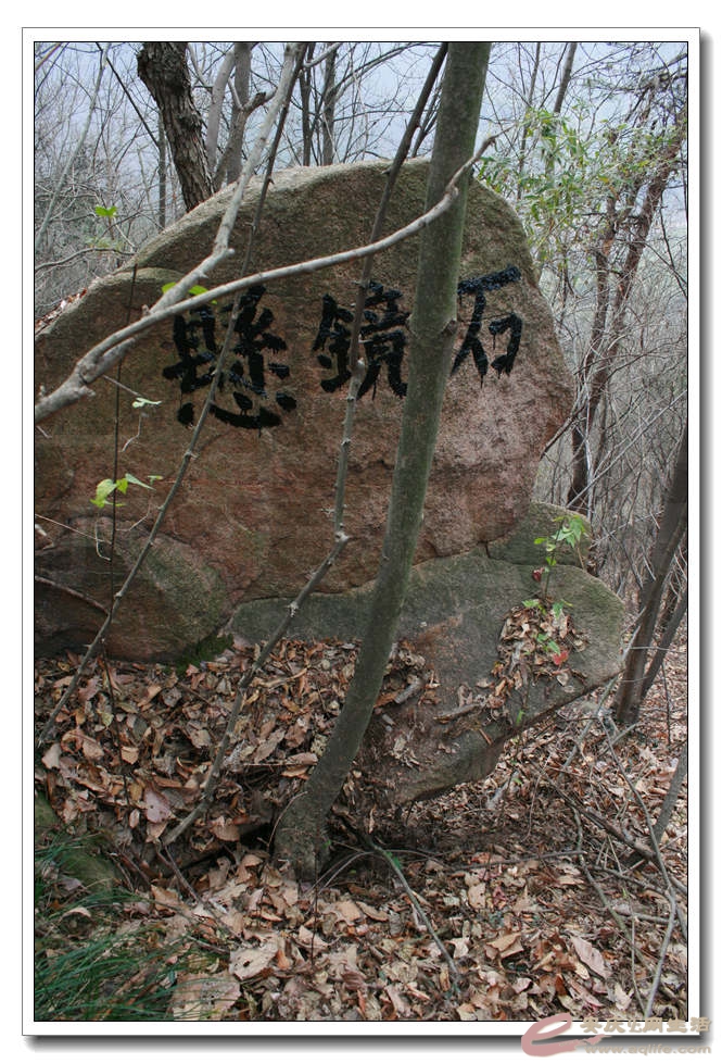 20150117 373.jpg