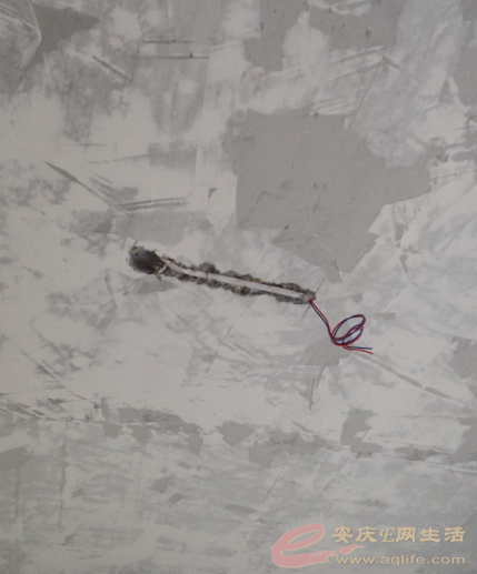 QQͼƬ20150601211916.png