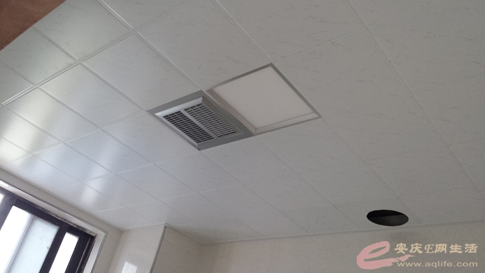 20150604_123928.jpg
