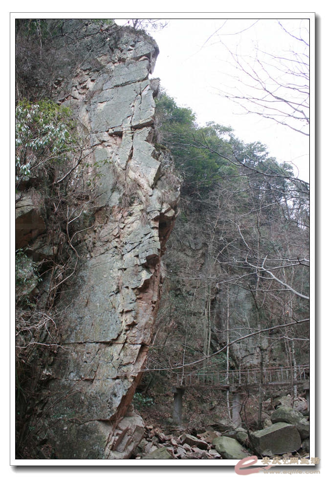 20150219 331.jpg