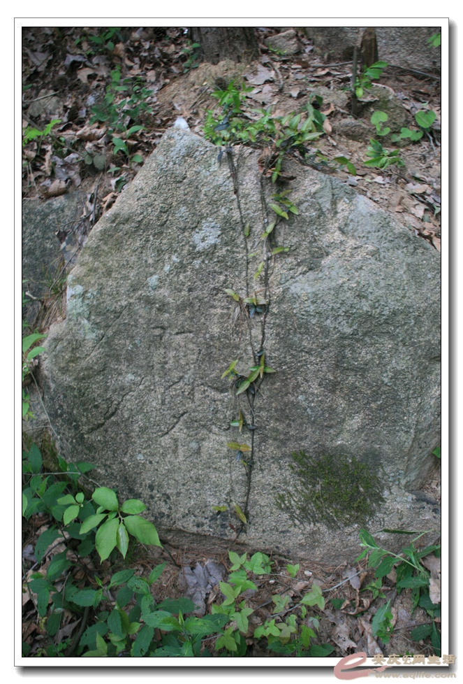 20150418 381.jpg