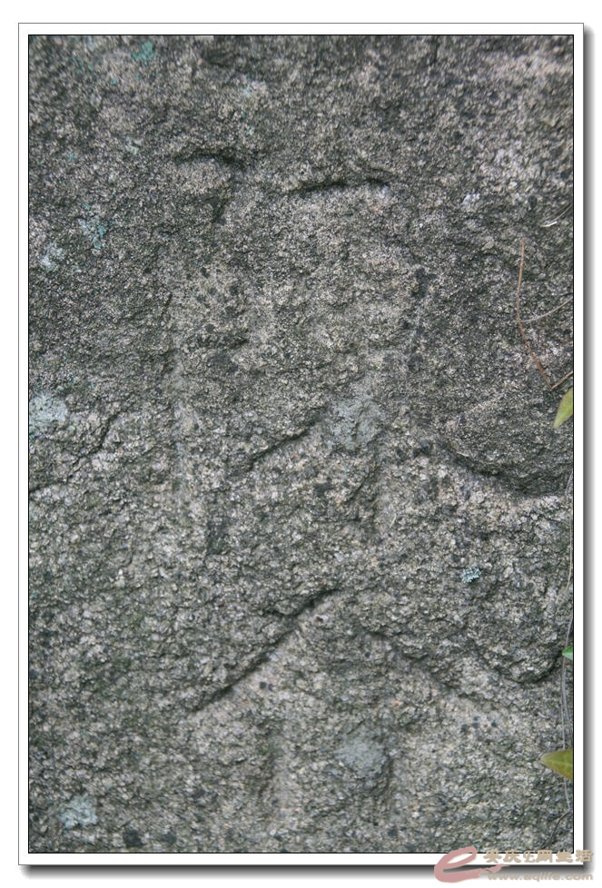 20150418 383.jpg