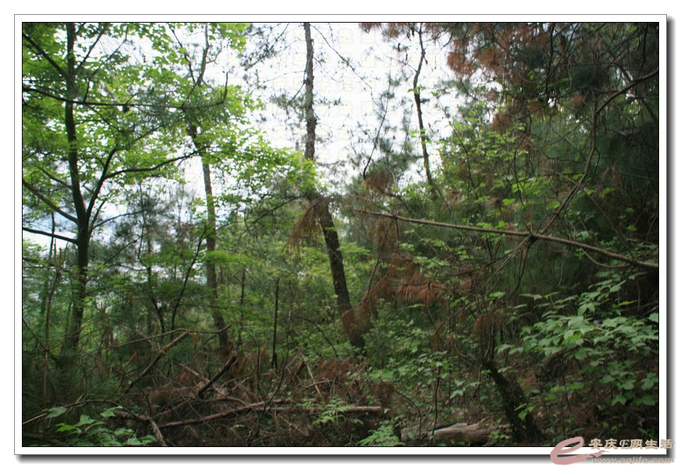 20150418 390.jpg