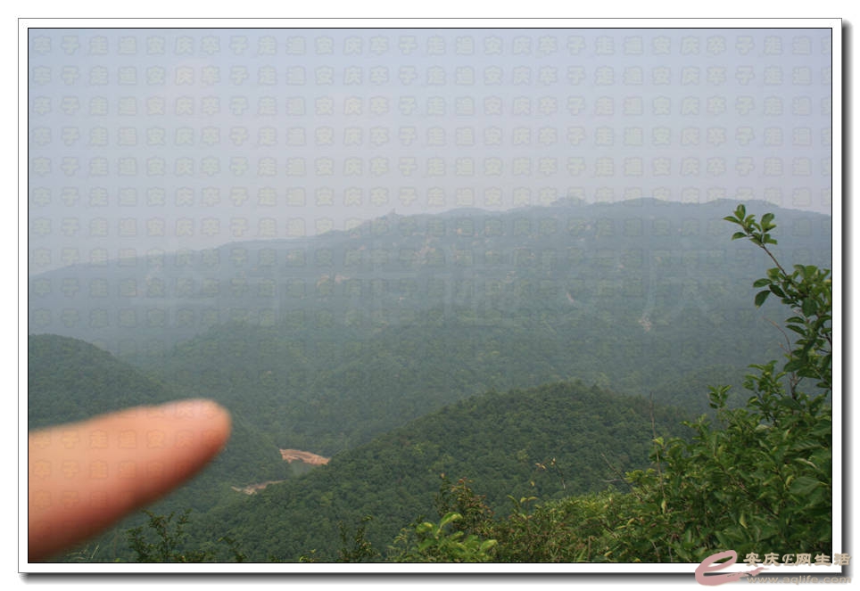 20150531 176.jpg
