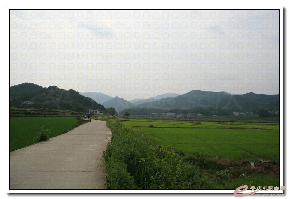 20150620 050.jpg
