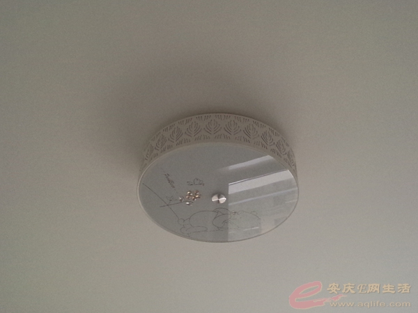 P50618-161438.jpg