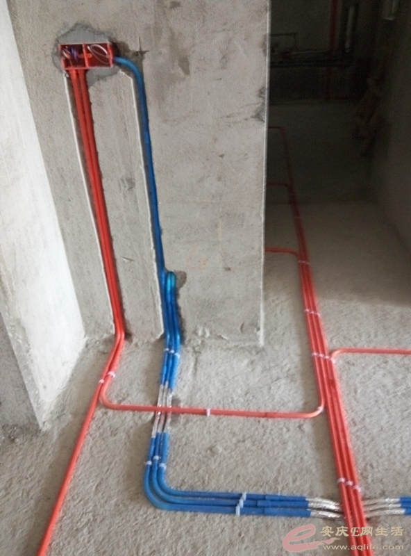 P50702-154833_.jpg