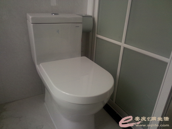 P50703-161302.jpg