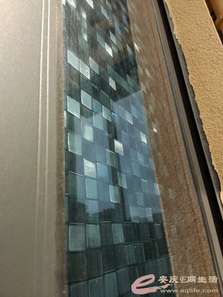 P50710-153607.jpg