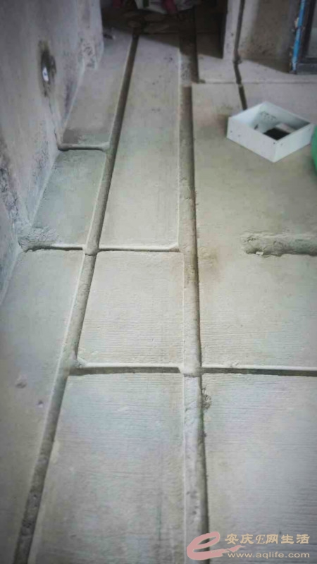 ֮.jpg
