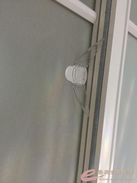 P50713-150251.jpg
