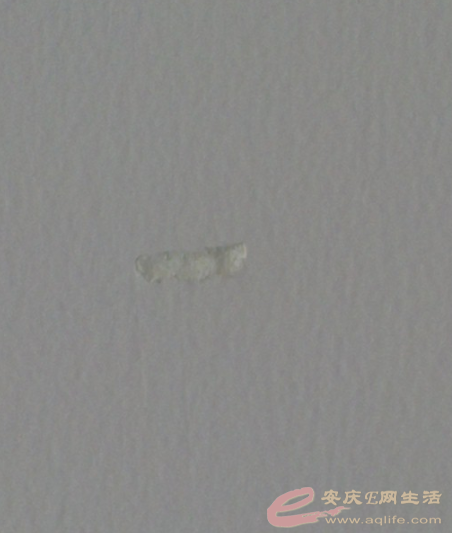 QQͼƬ20150802140018.png