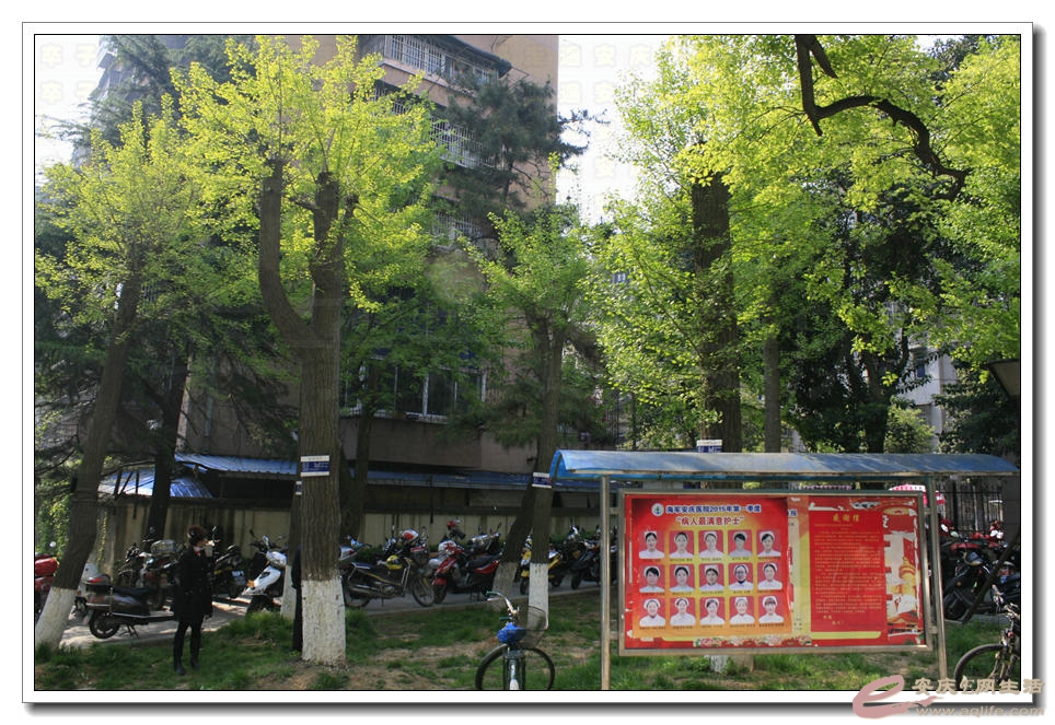 20150412 041.jpg