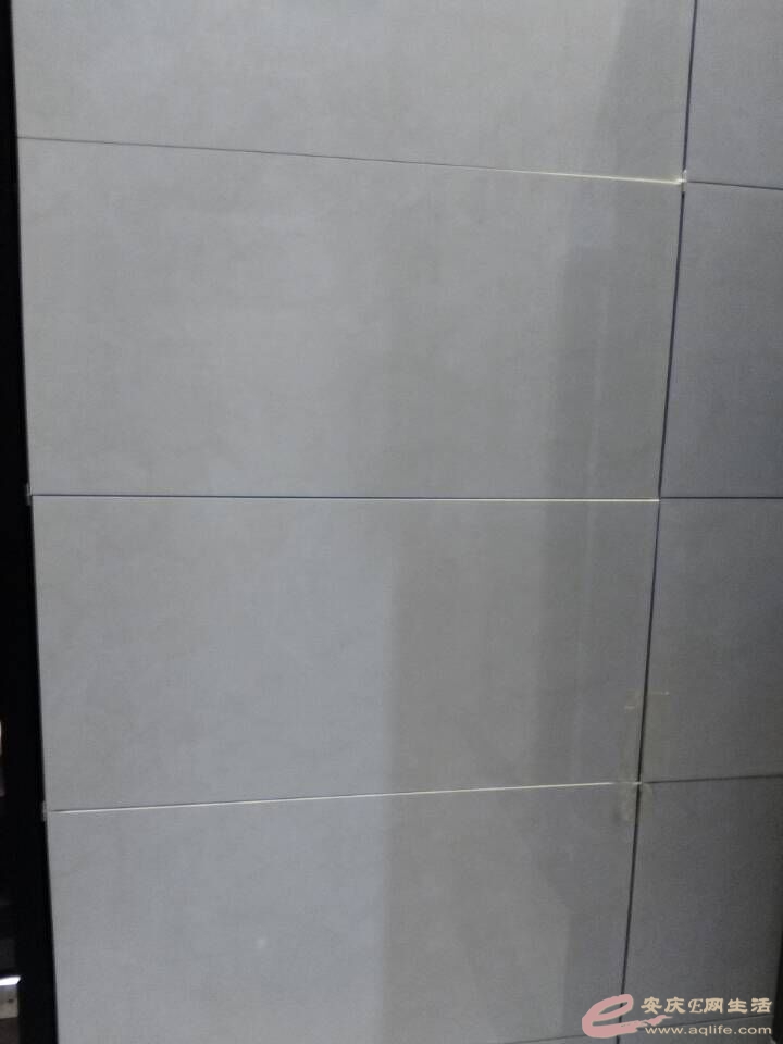 .jpg