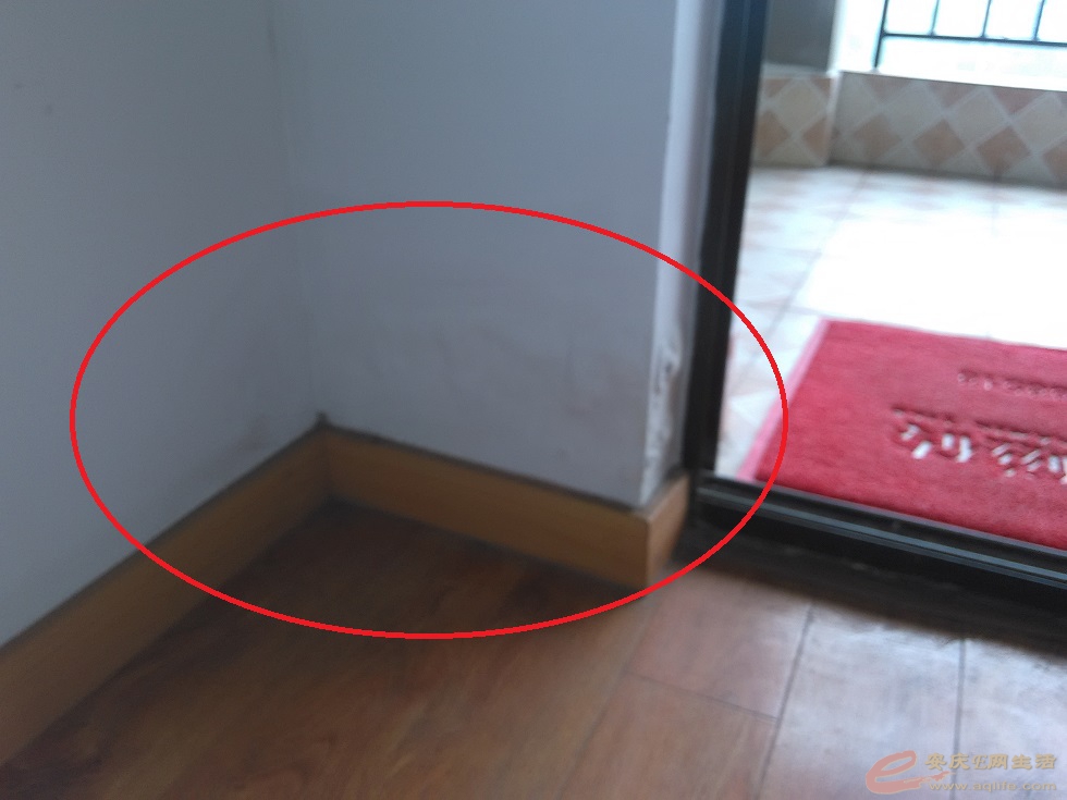 ٶװסǽͼƬ2.jpg